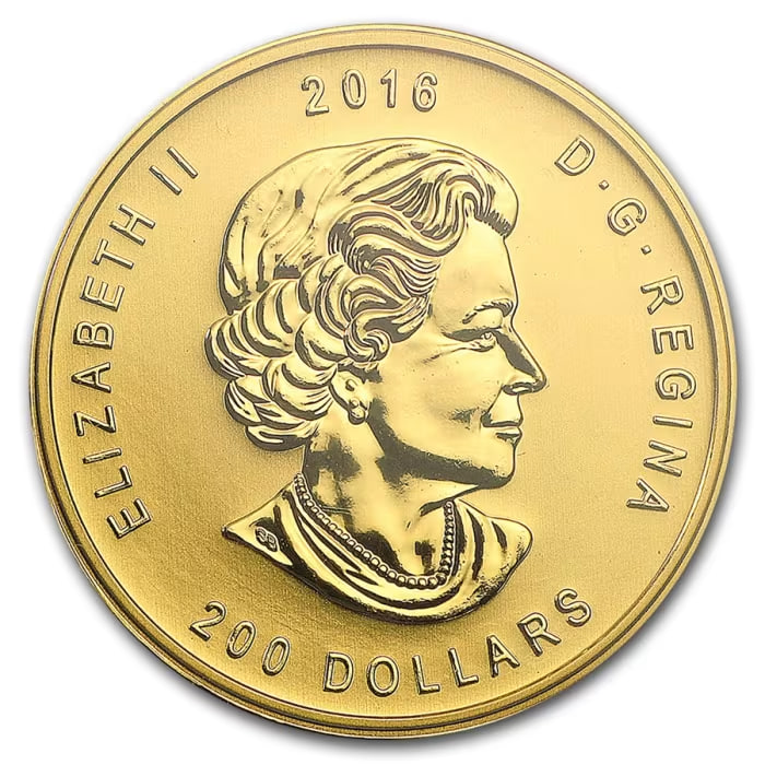 2016 カナダ咆哮グレイズベア 秘蔵限定品 数量限定5000枚